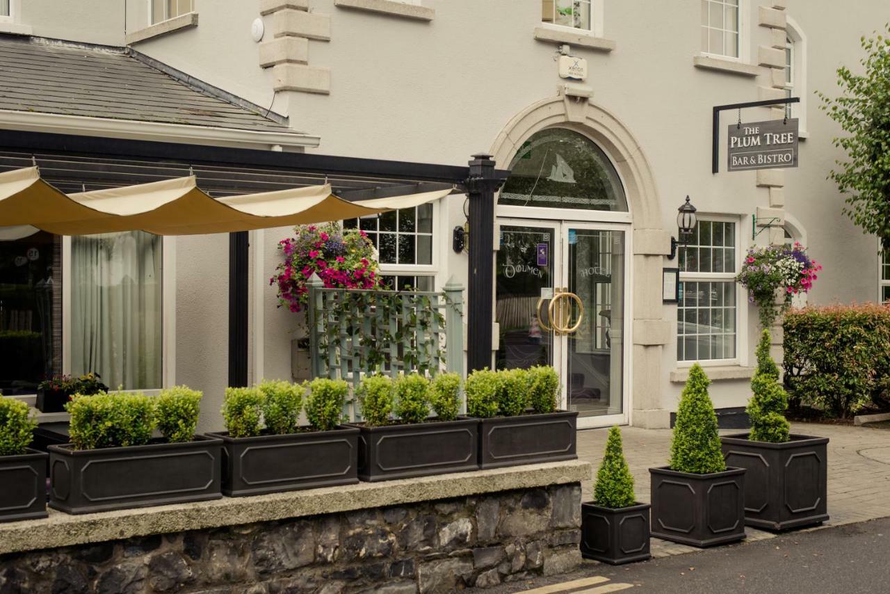 Woodford Dolmen Hotel Карлоу Экстерьер фото